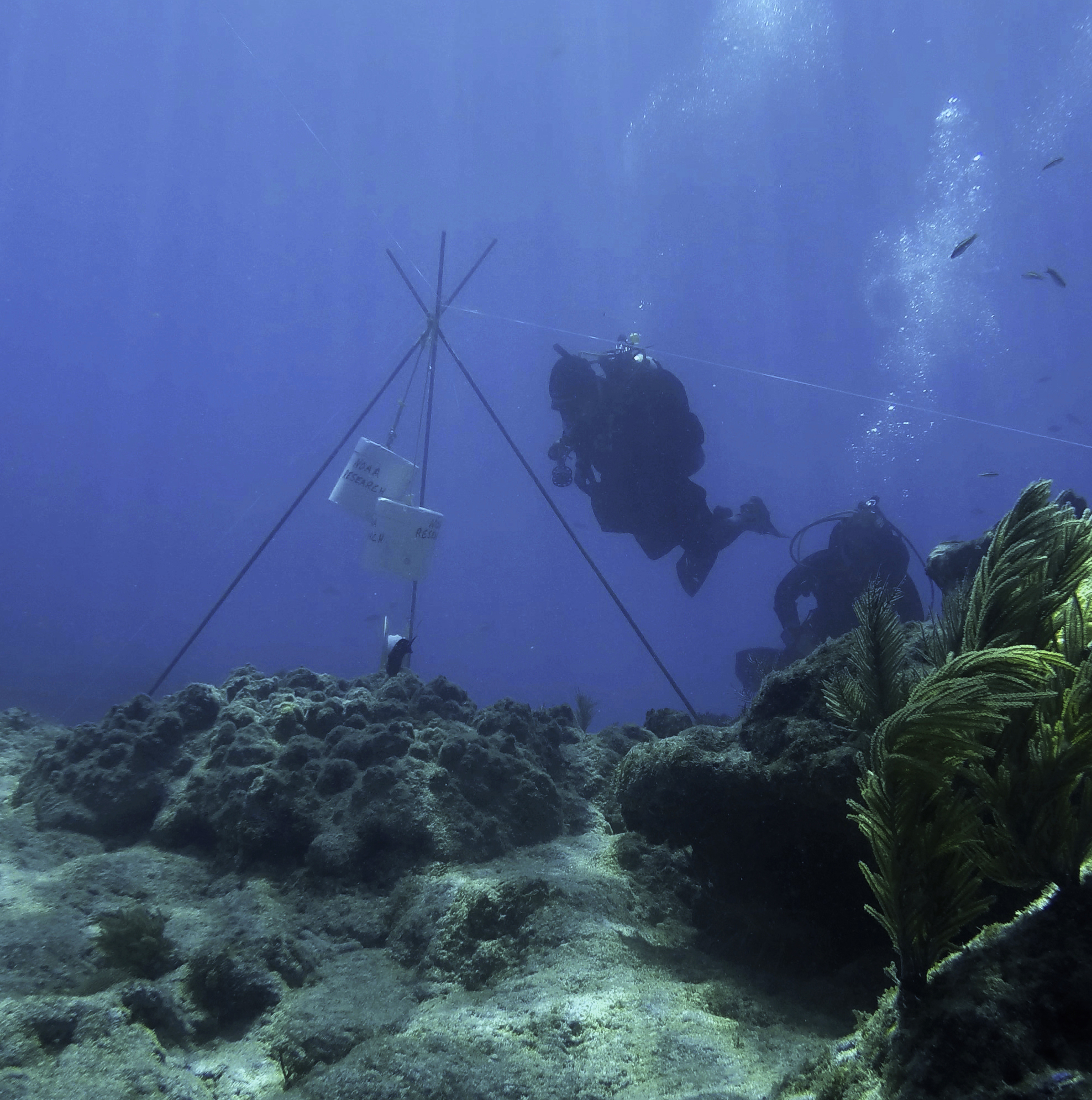 A diver works near surveying equipment