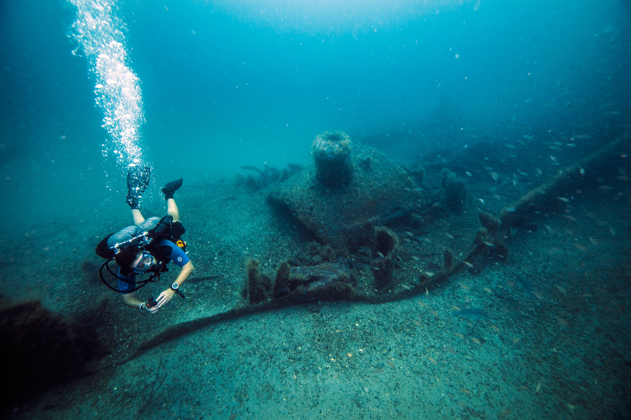 A diver swims over a shipwreck