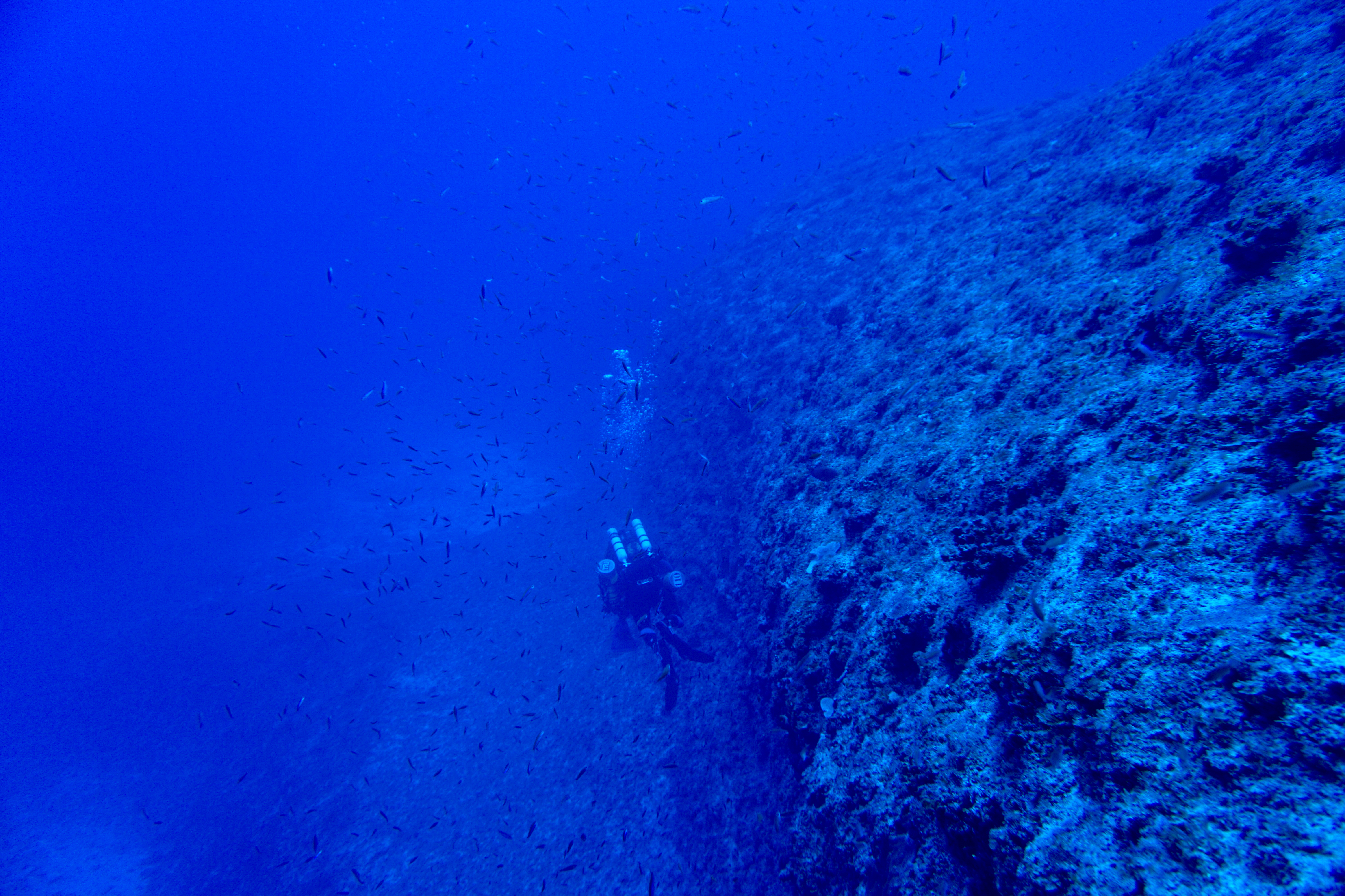 A NOAA diver conducting a deep dive