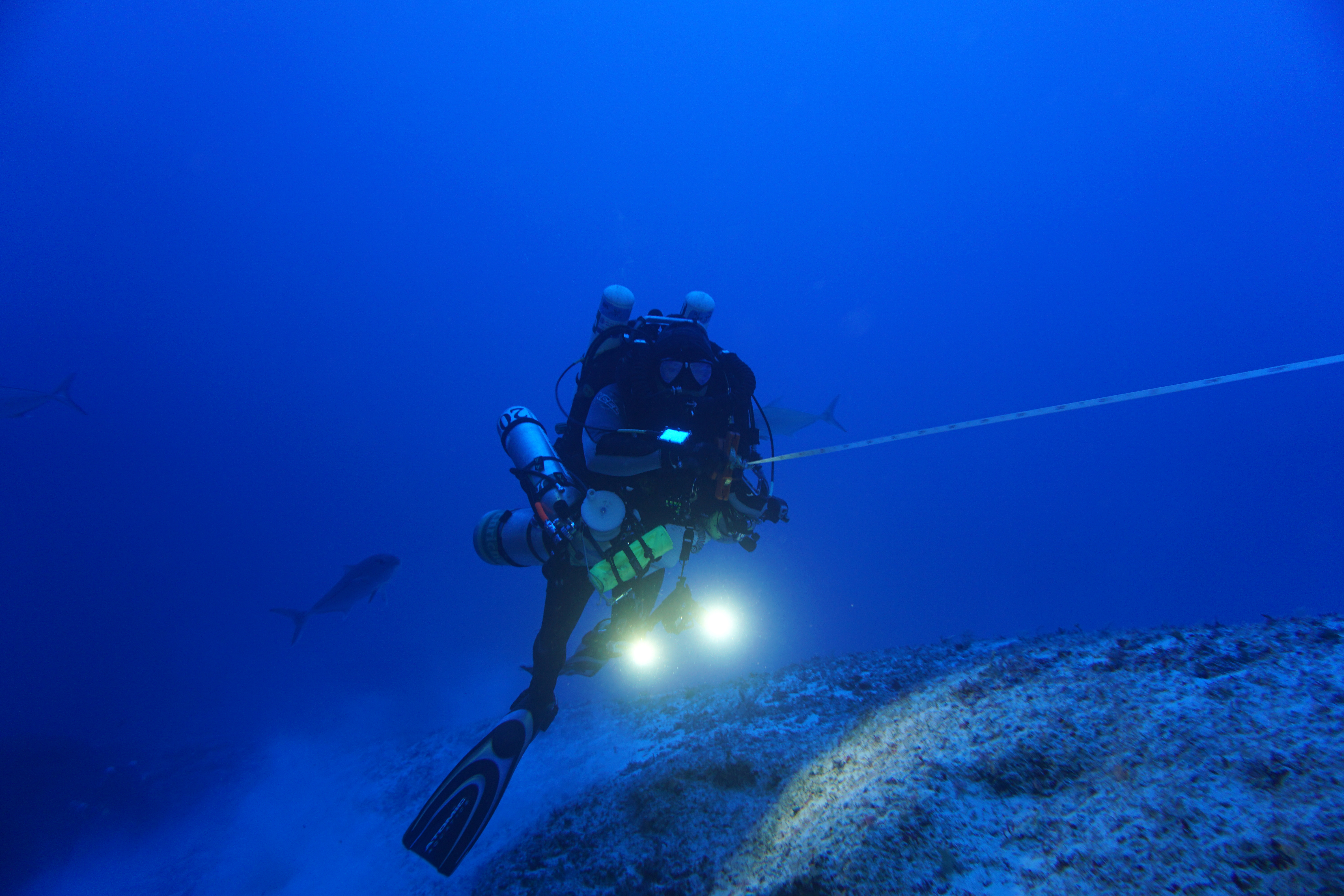 A NOAA Diver lays reels out a measuring tape underwater