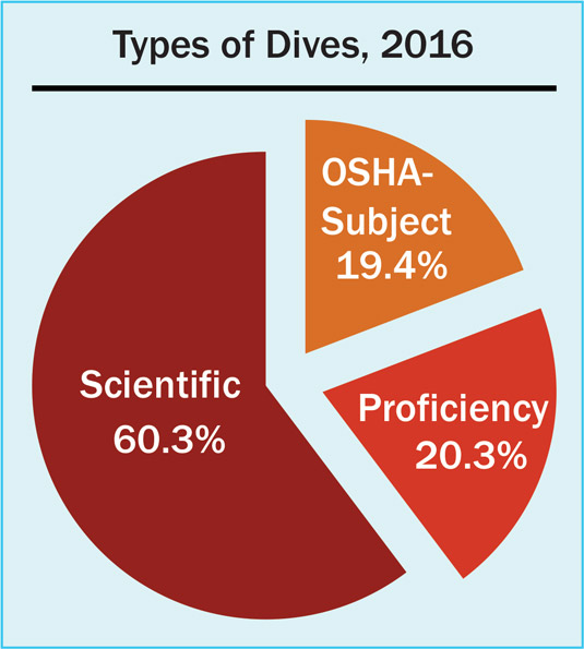 Pie chart of types of dives in 2016