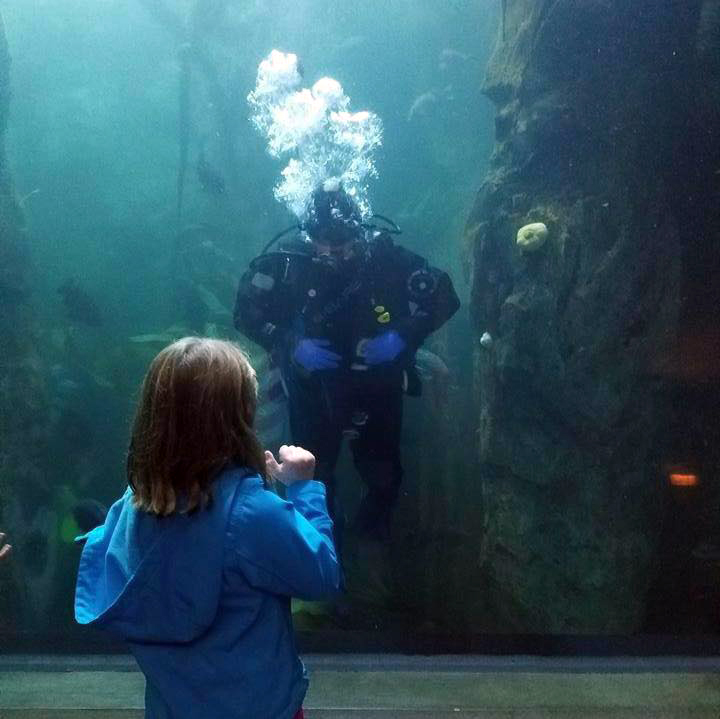 A child looks at a diver inside an aquarium tank