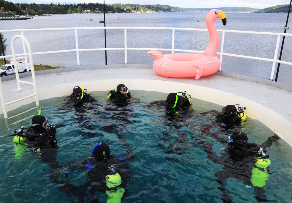 divers at the surface of tank overseeing a Lake basin