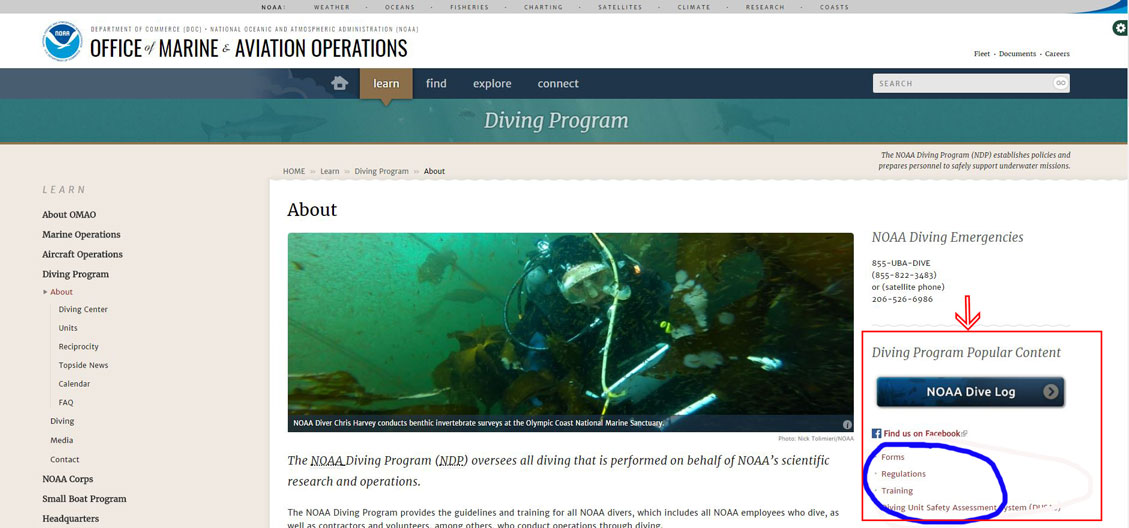 Screen shot of the About page