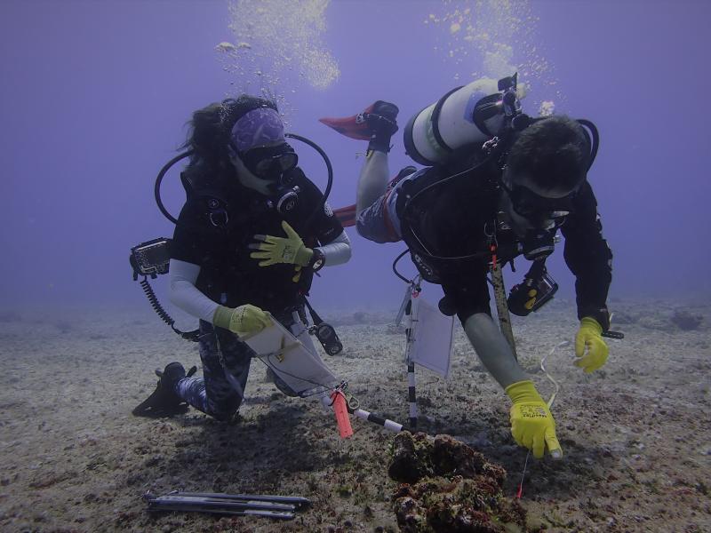 Two divers working on the sea floor