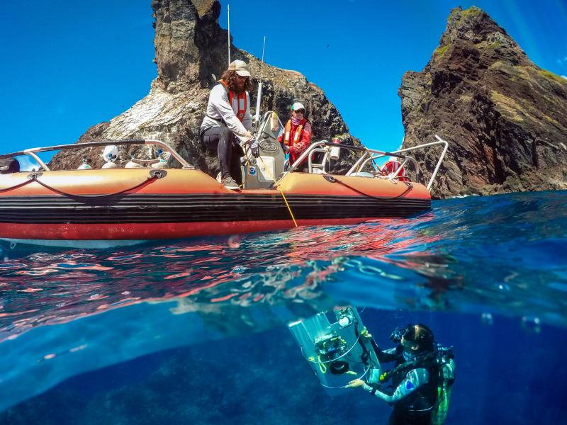 A diver beneath a NOAA small boat