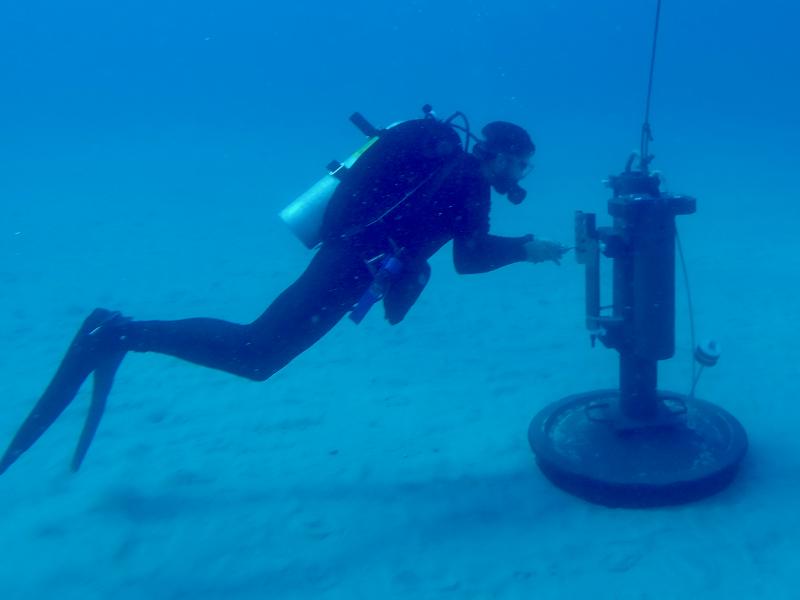 A NOAA diver inspects a piece of equipment on the sea floor.