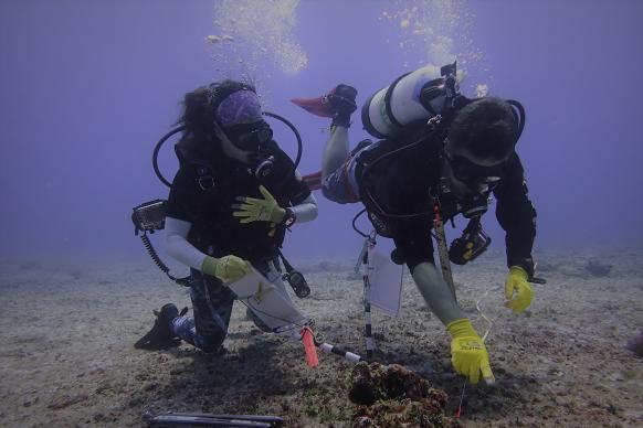 Two divers working on the sea floor