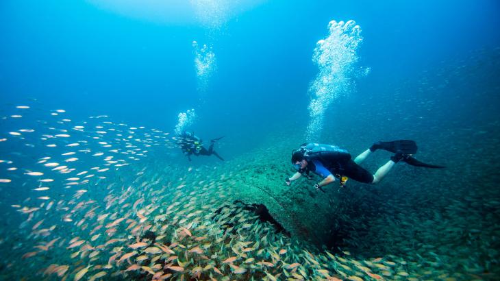 Two scuba divers exploring a shipwreck surrounded by fish