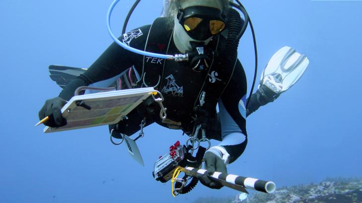 A diver under the water holding a notebook and ruler to measure coral