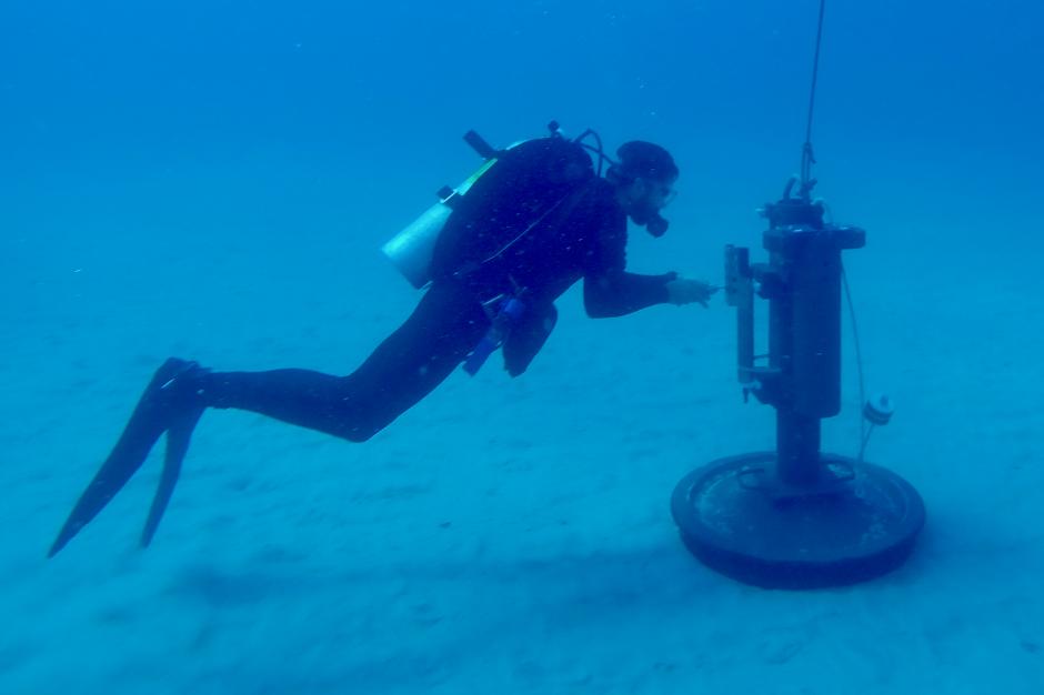 A NOAA diver inspects a piece of equipment on the sea floor.
